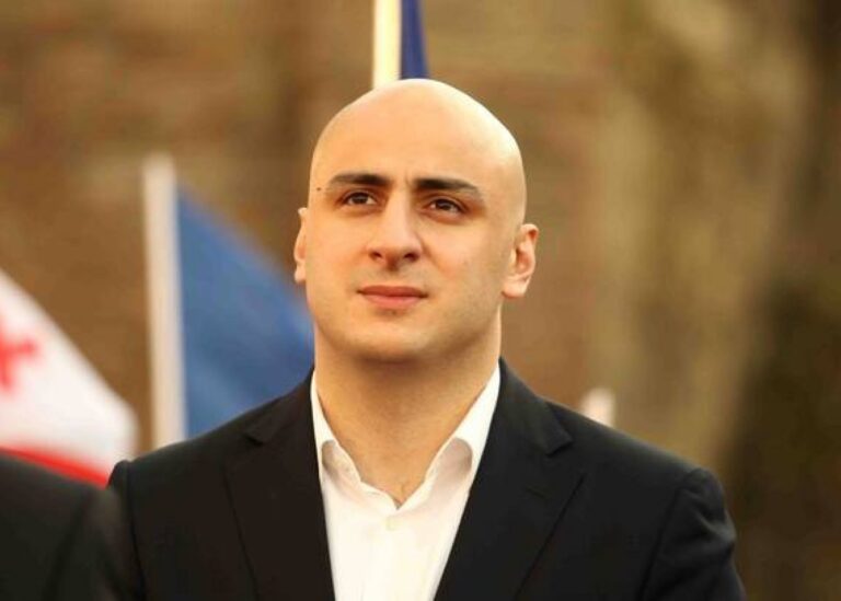 რას აკეთებთ და გეგმავთ მიშას გამოყვანისა და უწყვეტი აქციების დაპირებით მოსულები? ვოლიდან ვოლზე სურათს დაატარებთ და ვიშვიშებთ–მელია