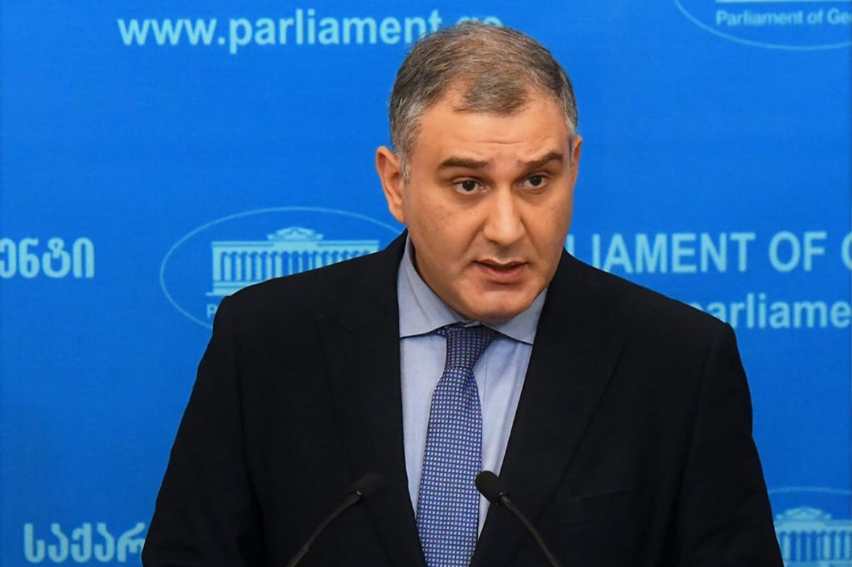 საპროტესტო აქციების წარმართვის აუცილებლობა არ არის – სარჯველაძე დიუშენზე